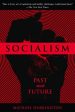 Michael Harrington: Socialism [2011] paperback Online