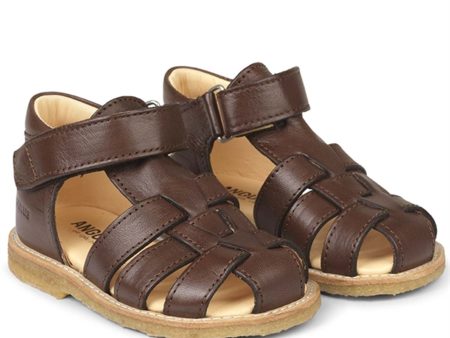 Angulus Begyndersandal m. Velcro Mørkebrun Supply